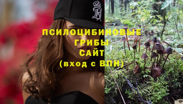 МДПВ Алексин