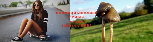 mdpv Алзамай
